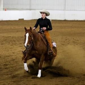 Meet your Posher, Morgan